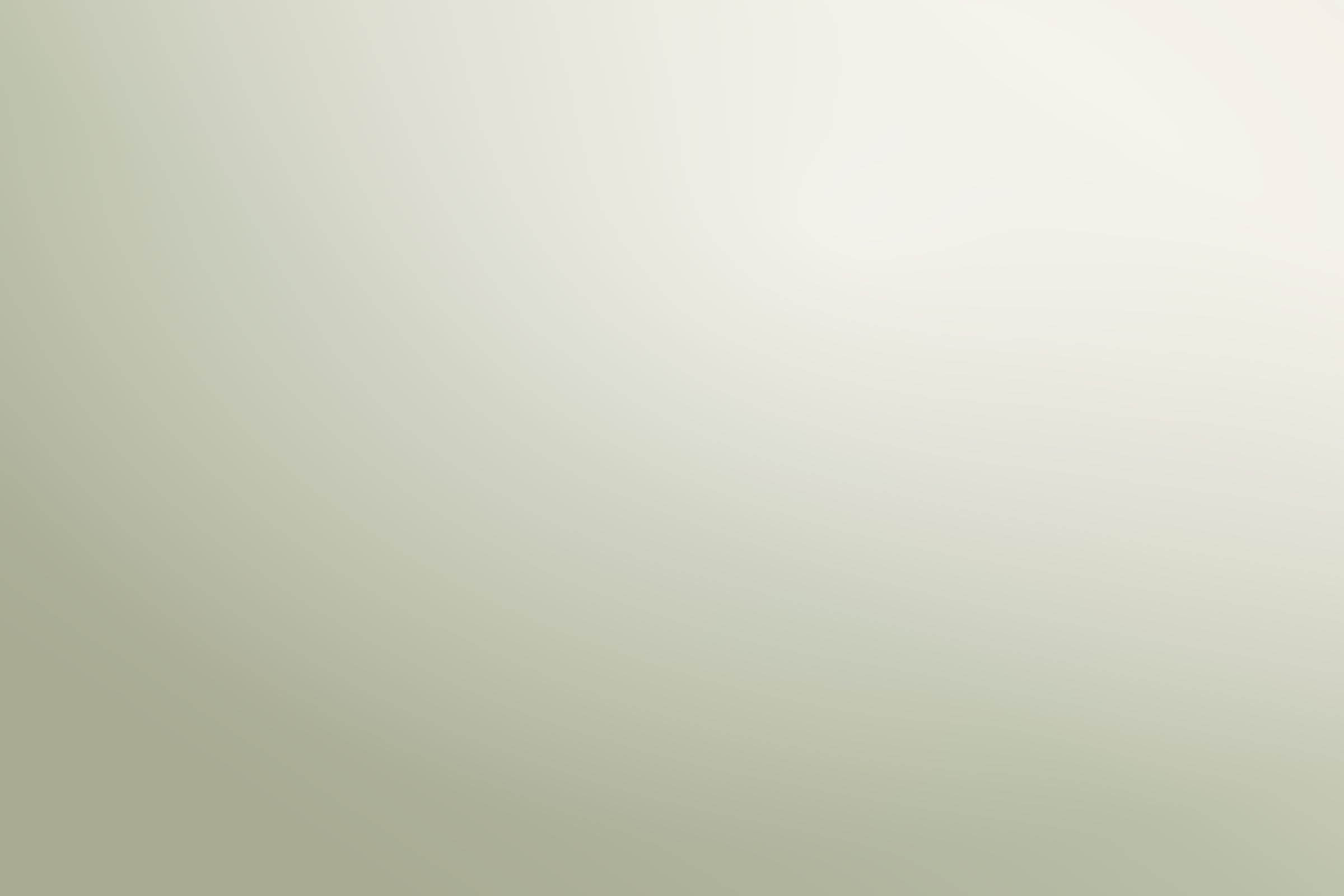 Sarah and Anshul wedding website password screen with a soft botanical illustration